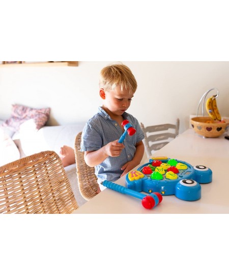 Whack A Frog Hammering Game - Great Toddler Toy for Learning & Early Hand Eye Co-Ordination Development. (Blue) $43.35 - Earl...