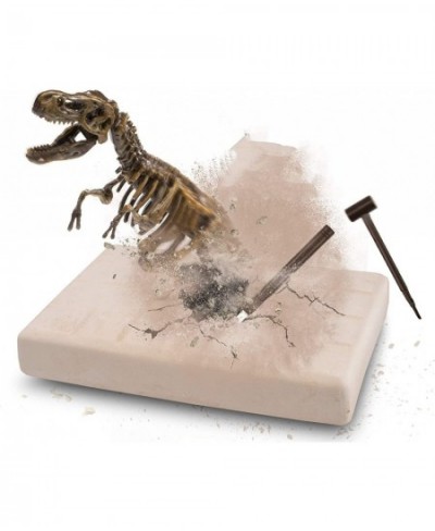 Dinosaur Fossil Digging kit for Kids Dinosaurs Skeleton Set Educational Realistic Toys for Kids Boys Girls Best Gift Dinosaur...