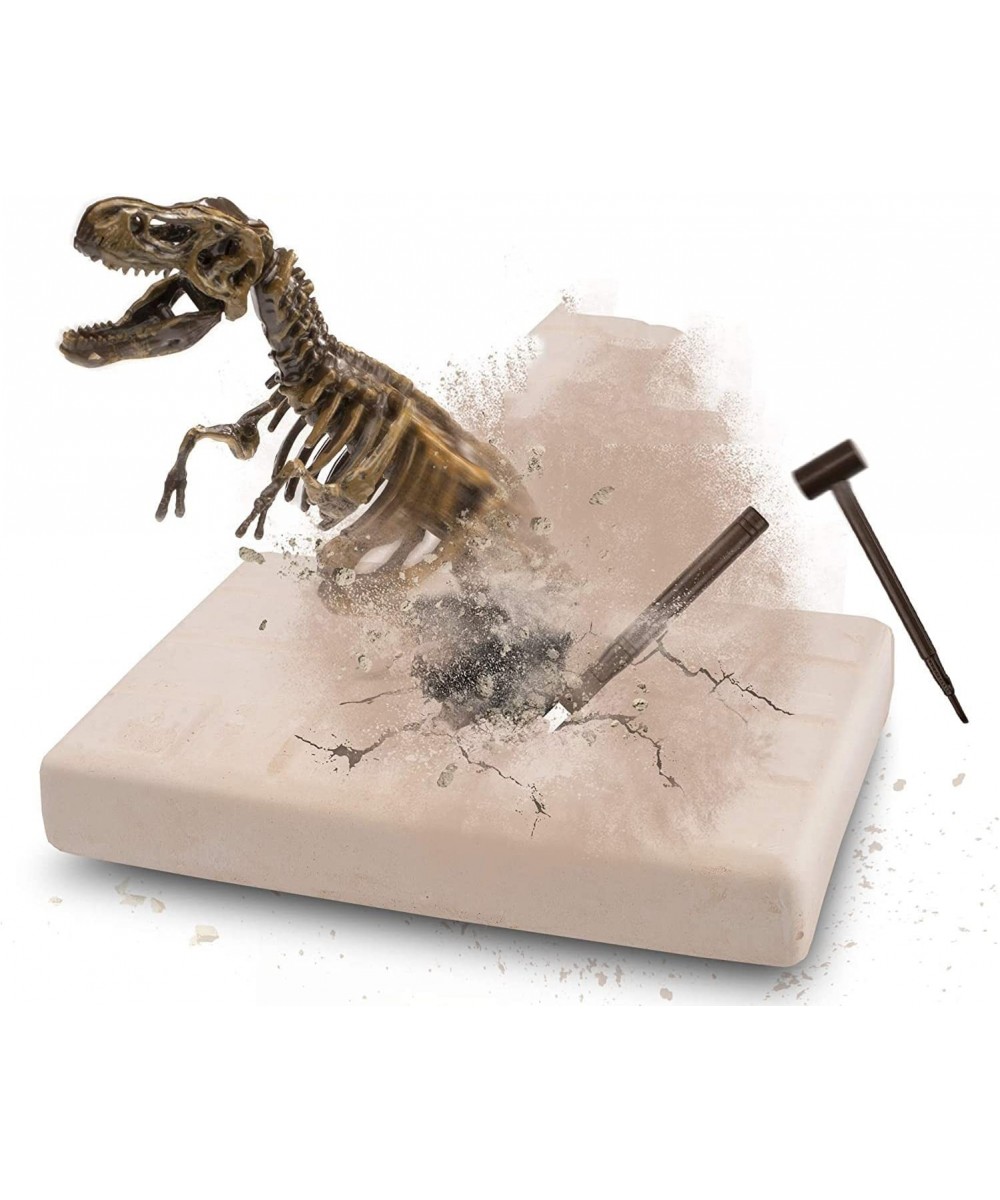 Dinosaur Fossil Digging kit for Kids Dinosaurs Skeleton Set Educational Realistic Toys for Kids Boys Girls Best Gift Dinosaur...