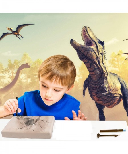 Dinosaur Fossil Digging kit for Kids Dinosaurs Skeleton Set Educational Realistic Toys for Kids Boys Girls Best Gift Dinosaur...