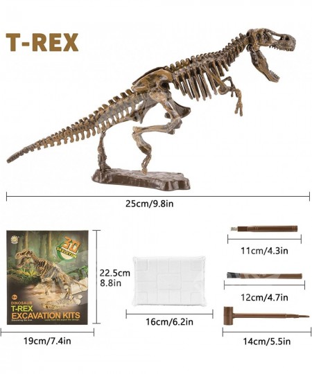 Dinosaur Fossil Digging kit for Kids Dinosaurs Skeleton Set Educational Realistic Toys for Kids Boys Girls Best Gift Dinosaur...