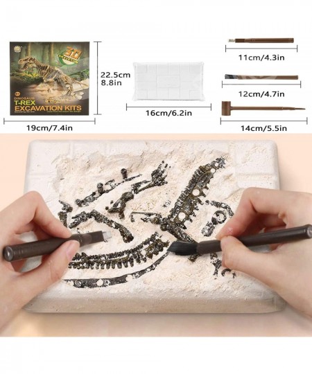 Dinosaur Fossil Digging kit for Kids Dinosaurs Skeleton Set Educational Realistic Toys for Kids Boys Girls Best Gift Dinosaur...