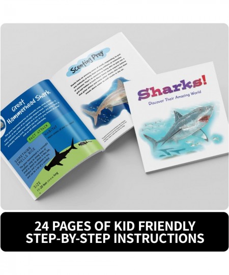 Children's Art Kits Imagine It Learn & Draw Sharks 6 Ferocious Projects Drawing Shark Stencil Art Kit For Kids $28.53 - Craft...