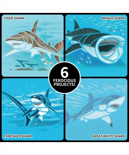 Children's Art Kits Imagine It Learn & Draw Sharks 6 Ferocious Projects Drawing Shark Stencil Art Kit For Kids $28.53 - Craft...