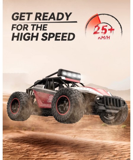 DE43 RC Cars 1:14 Scale Remote Control Car 2WD High Speed 25 Km/h All Terrains Electric Toy Off Road RC Car Vehicle Truck Cra...