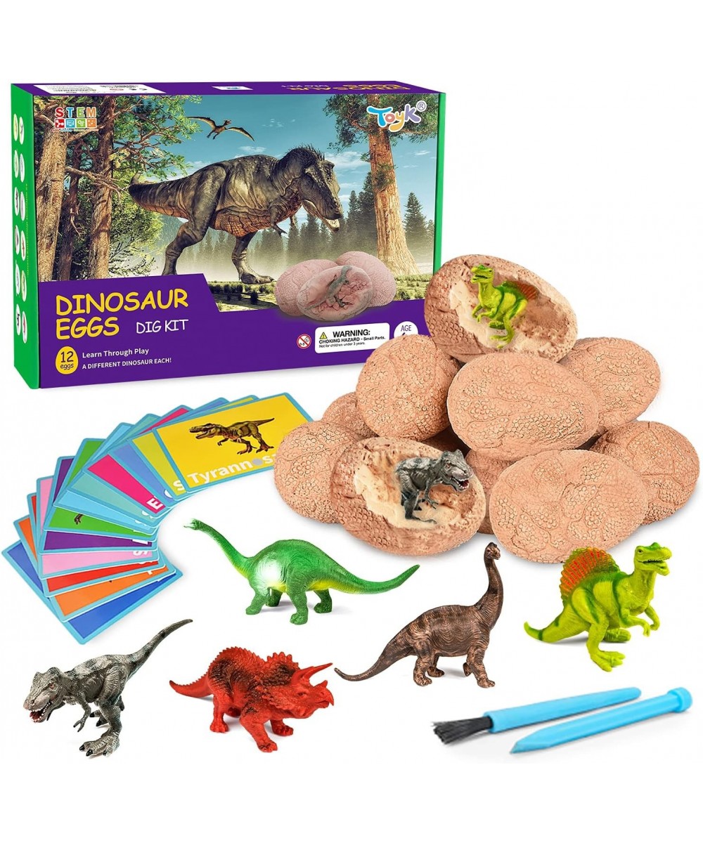 Dig Up Dinosaur Fossil Eggs Break Open 12 Unique Dinosaur Fossil Eggs and Discover 12 Cute Dinosaurs Funny Dinosaur Digging T...