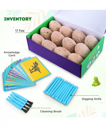 Dig Up Dinosaur Fossil Eggs Break Open 12 Unique Dinosaur Fossil Eggs and Discover 12 Cute Dinosaurs Funny Dinosaur Digging T...