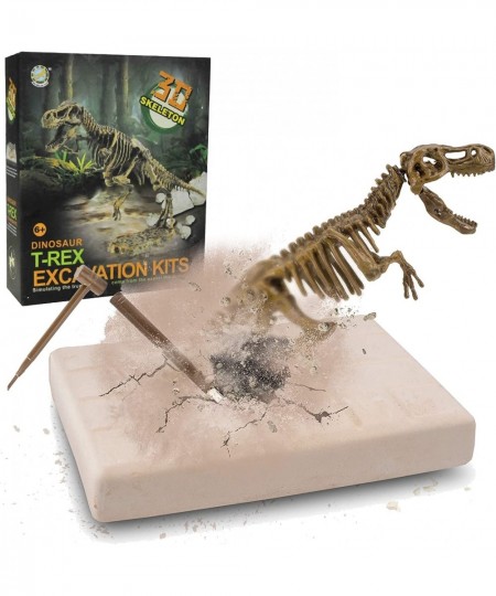 Dinosaur Skeleton 3D Dino Fossil Bones Excavation Science Kit $21.62 - Educational Science Kits