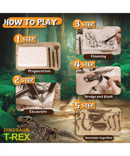 Dinosaur Skeleton 3D Dino Fossil Bones Excavation Science Kit $21.62 - Educational Science Kits