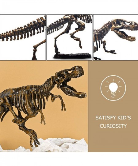 Dinosaur Skeleton 3D Dino Fossil Bones Excavation Science Kit $21.62 - Educational Science Kits