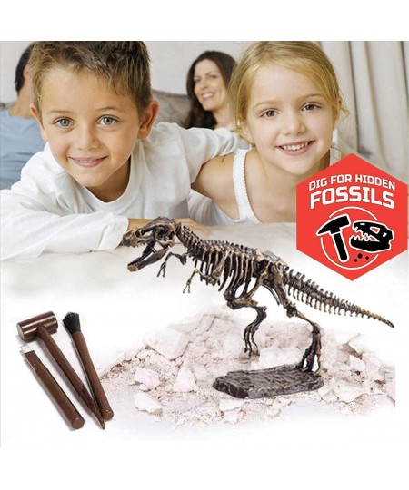 Dinosaur Skeleton 3D Dino Fossil Bones Excavation Science Kit $21.62 - Educational Science Kits