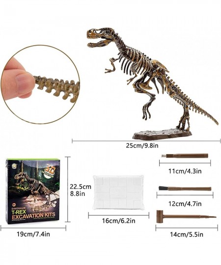 Dinosaur Skeleton 3D Dino Fossil Bones Excavation Science Kit $21.62 - Educational Science Kits