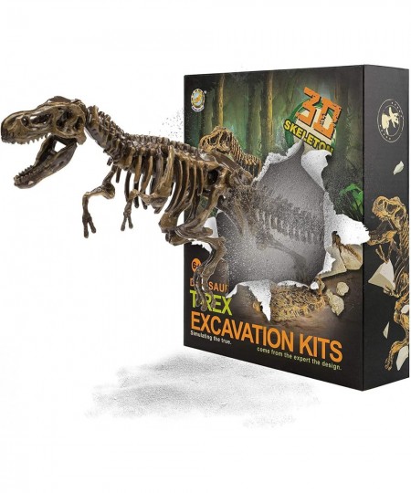 Dinosaur Skeleton 3D Dino Fossil Bones Excavation Science Kit $21.62 - Educational Science Kits