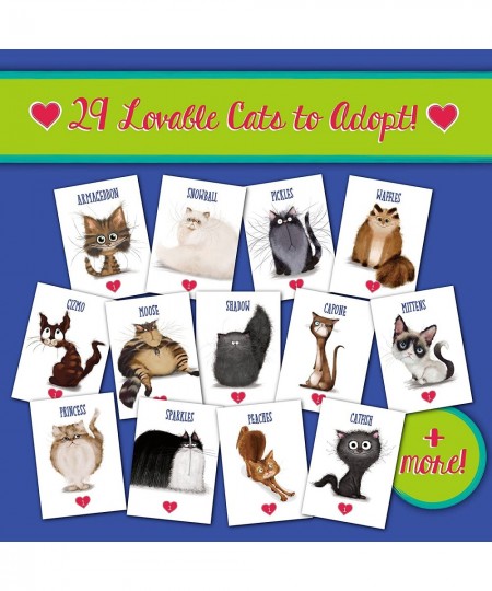 Cat Ladies of Maple Street - New! - Fun Family-Friendly Board Game | Deck Building Card Game | Card Games for Adults Teens & ...