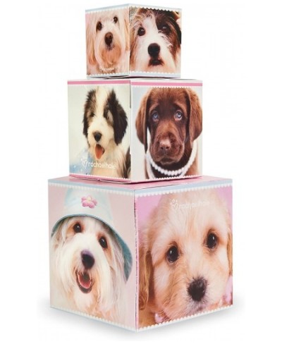 Rachael Hale Glamour Dogs Party Supplies - Centerpiece Gift Boxes $25.44 - Kids' Party Centerpieces