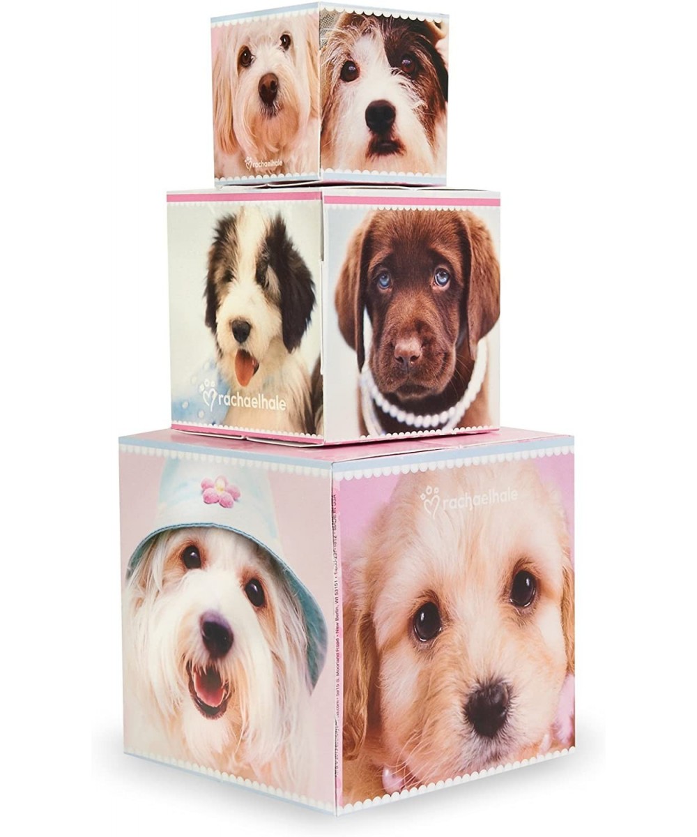 Rachael Hale Glamour Dogs Party Supplies - Centerpiece Gift Boxes $25.44 - Kids' Party Centerpieces