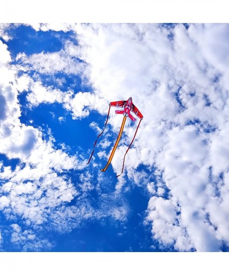 Airplane Kite for Kids Easy to Fly for Beginners with 300 FT String Kite Handle $23.08 - Kites & Wind Spinners