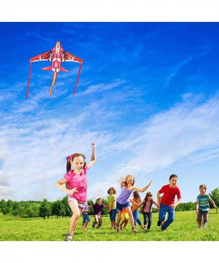 Airplane Kite for Kids Easy to Fly for Beginners with 300 FT String Kite Handle $23.08 - Kites & Wind Spinners