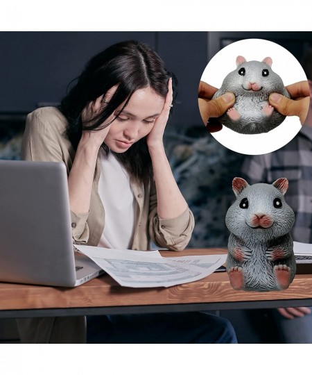 Adult Children Decompression Ball Cute Hamster fingertip Toy Anti-Stress Sensory Ball Relieve Tension Squeeze Toy Gift (Grey ...