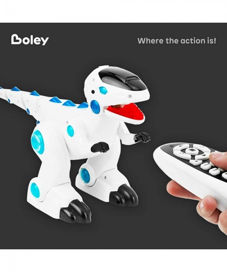 RC Dinosaur Robot - Infrared Remote Control Dinosaur T-Rex Toy Robot with Mist Music and Lights - Kids Robotic Dinosaurs Toys...