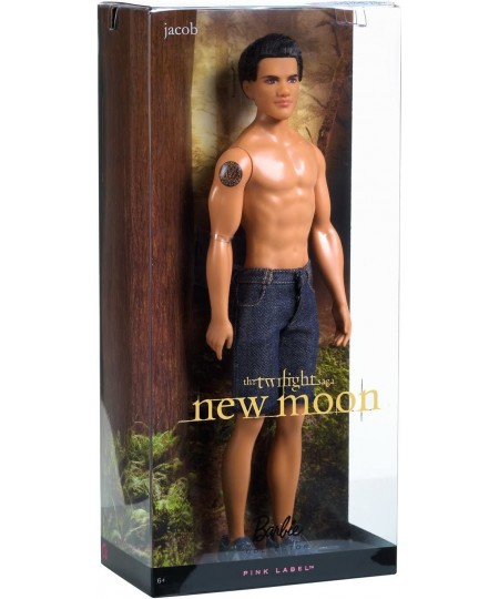 Collector Twilight Saga New Moon Jacob Doll $50.95 - Dolls