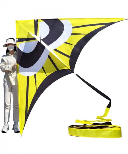 Delta Kite for Kids & Adults Easy to Fly Large The Easiest Single Line Beach Kite it Comes with 300ft String Kite Handle $62....