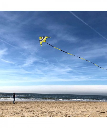 Delta Kite for Kids & Adults Easy to Fly Large The Easiest Single Line Beach Kite it Comes with 300ft String Kite Handle $62....