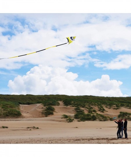 Delta Kite for Kids & Adults Easy to Fly Large The Easiest Single Line Beach Kite it Comes with 300ft String Kite Handle $62....