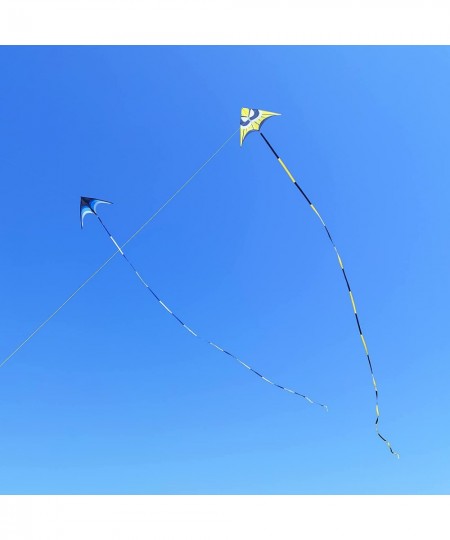 Delta Kite for Kids & Adults Easy to Fly Large The Easiest Single Line Beach Kite it Comes with 300ft String Kite Handle $62....